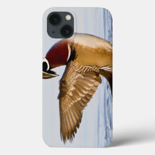 Wood Duck male flapping wings in wetland iPhone 13 Case