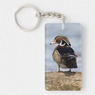 Wood Duck male on log in wetland Key Ring