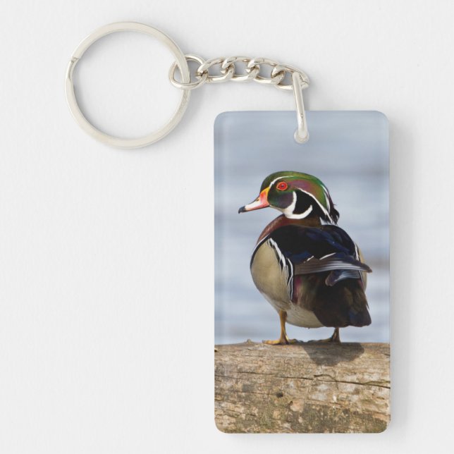 Wood Duck male on log in wetland Key Ring (Front)