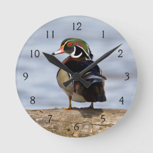 Wood Duck male on log in wetland Round Clock