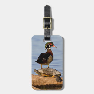 Wood Duck male standing on Red-eared Slider Luggage Tag
