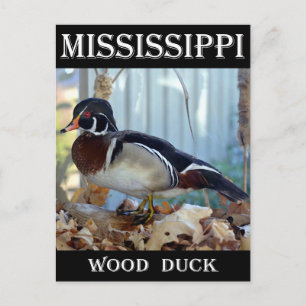 Wood Duck (Mississippi) Postcard