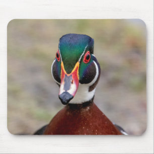 Wood Duck Mouse Mat