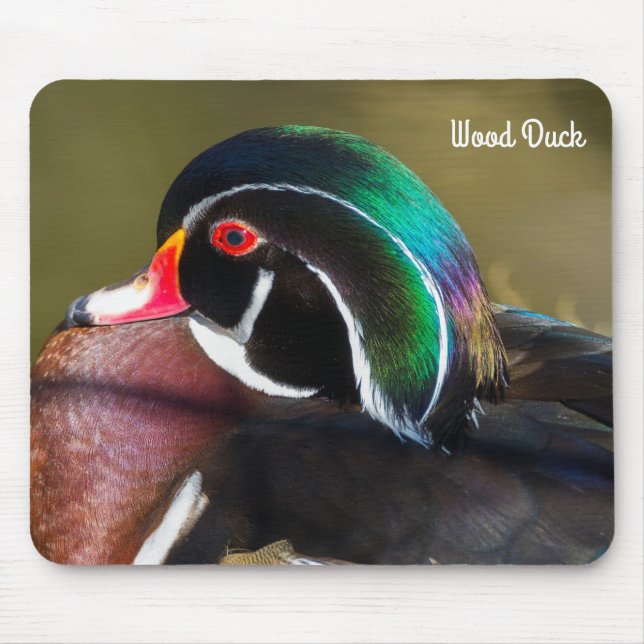 Wood Duck Mouse Mat (Front)