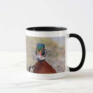 Wood Duck Mug
