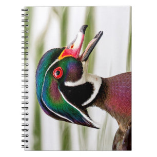 Wood Duck Notebook
