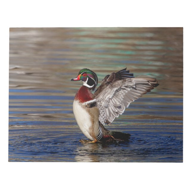 Wood Duck Notepad (Front)