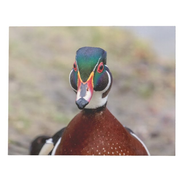Wood Duck Notepad (Front)