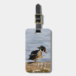 Wood Duck on log in wetland Luggage Tag
