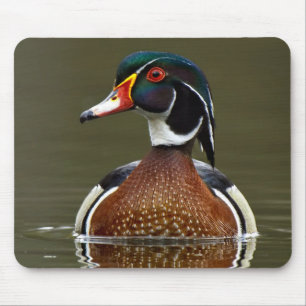 Wood Duck on Water Mouse Mat