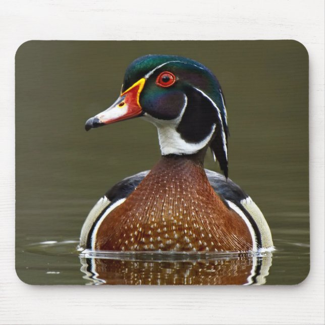 Wood Duck on Water Mouse Mat (Front)