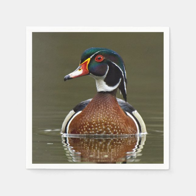 Wood Duck on Water Napkin (Front)