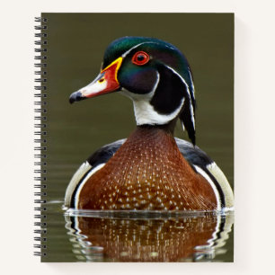 Wood Duck on Water Notebook
