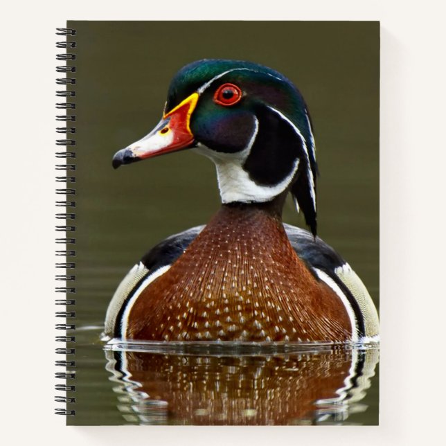 Wood Duck on Water Notebook (Front)