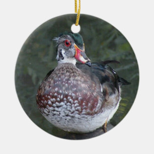 Wood Duck Ornament