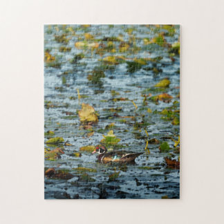 Wood Duck Pacific Northwest Jigsaw Puzzle