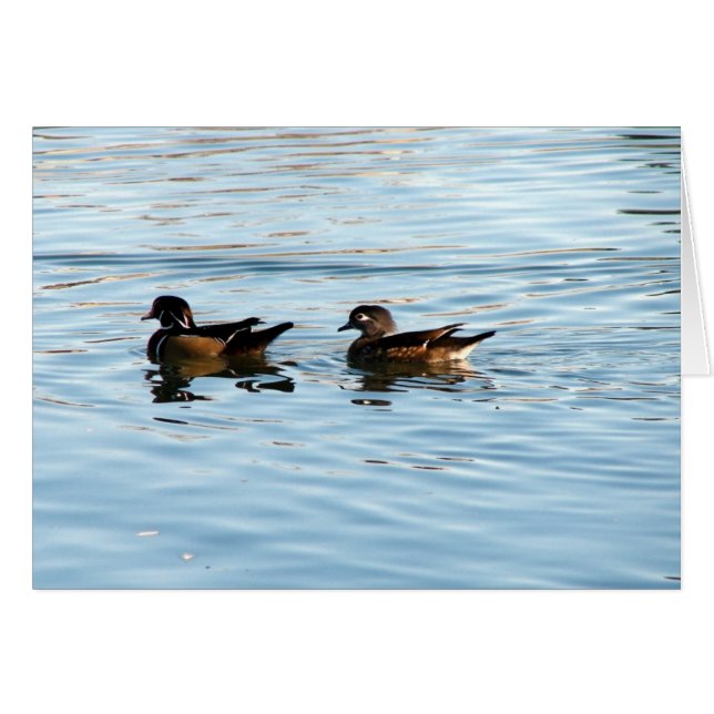 Wood Duck Pair (Front Horizontal)