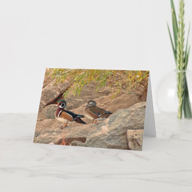 Wood Duck Pair Card (Front)