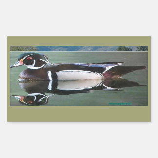 Wood Duck Reflection Stickers
