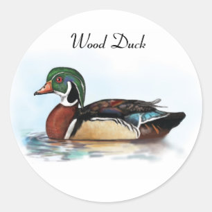 Wood Duck Sticker