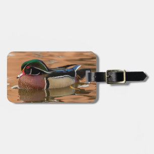 Wood duck swimming in water luggage tag