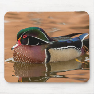 Wood duck swimming in water mouse mat