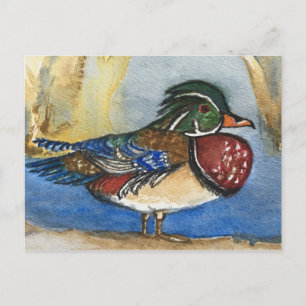 Wood Duck Watercolor Bird Painting Postcard