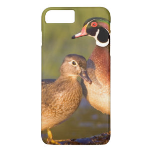 Wood Ducks and female on log in wetland iPhone 8 Plus/7 Plus Case