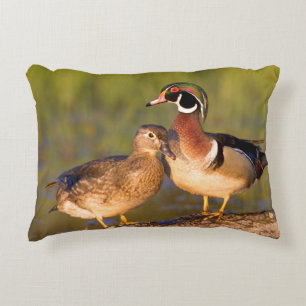 Wood Ducks and female on log in wetland Decorative Cushion