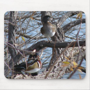Wood Ducks in a Tree Mouse Mat