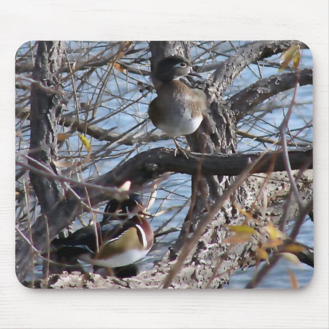 Wood Ducks in a Tree Mouse Mat (Front)