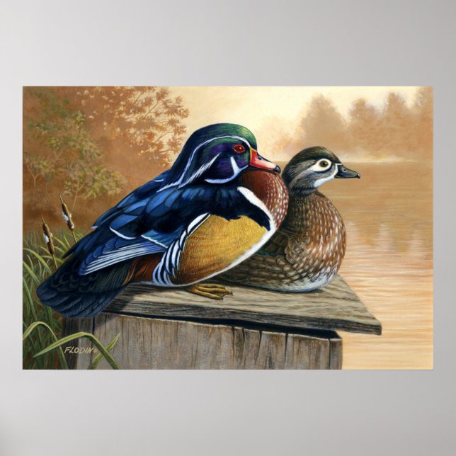 Wood Ducks On Nesting Box Painting 2 - Poster (Front)