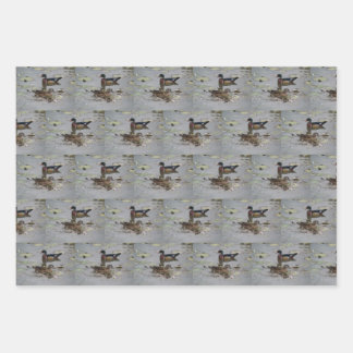 Wood Ducks Wrapping Paper