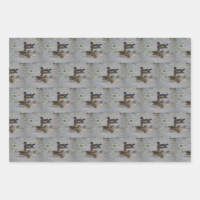 Wood Ducks Wrapping Paper (Front)