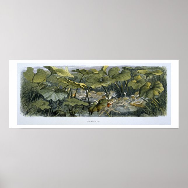 Wood Elves at Play, illustration from 'In Fairylan Poster (Front)