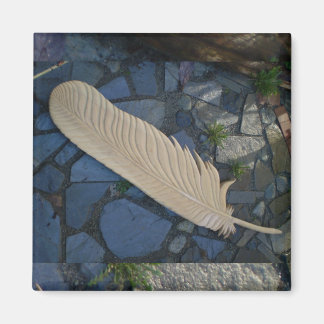Wood Feather Magnet