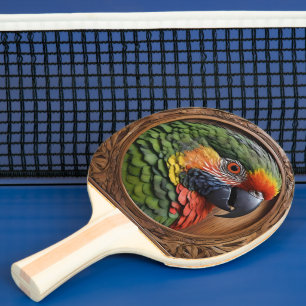 Wood Framed Australian Rainbow Lorikeet, Ping Pong Paddle