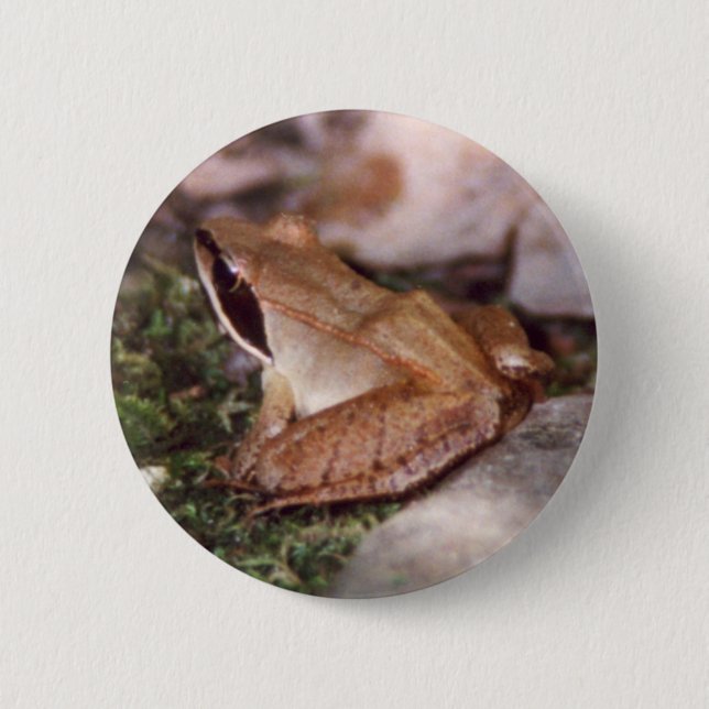 Wood Frog 6 Cm Round Badge (Front)