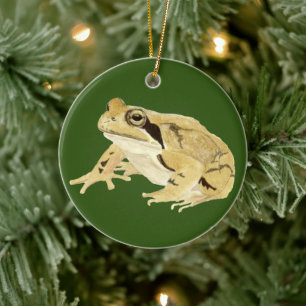 Wood Frog Ceramic Tree Decoration
