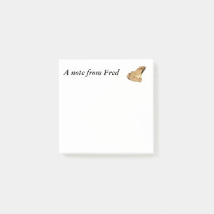 Wood Frog Post-it Notes