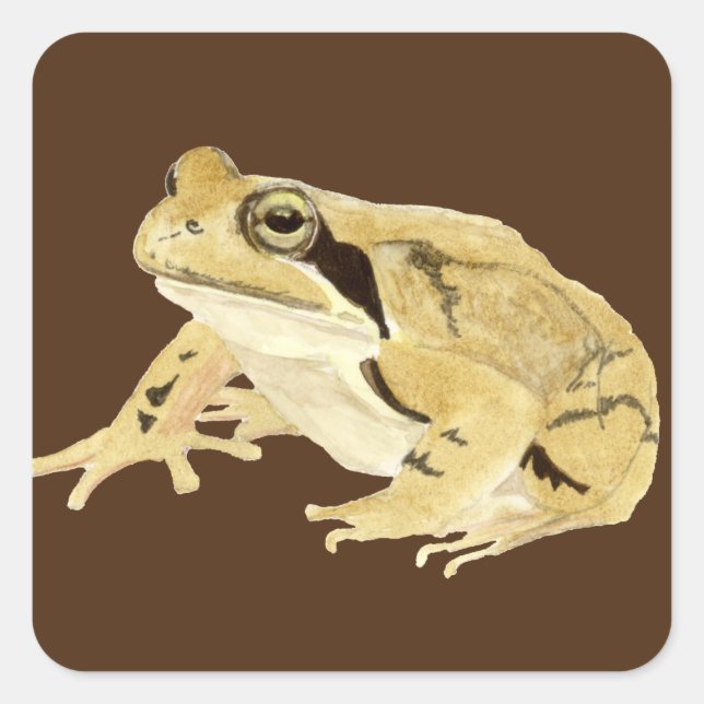 Wood Frog Square Sticker (Front)