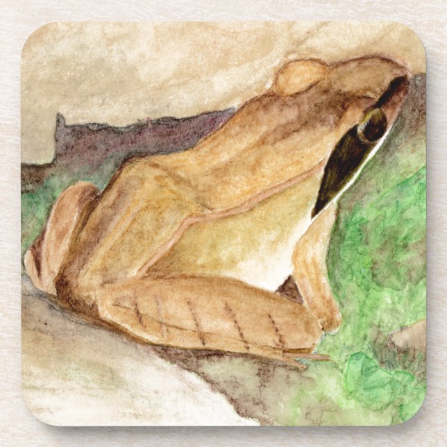 Wood Frog Watercolor Coaster (Front)