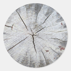 Wood Grain Grey Pine Tree Stump Photo Art 1 Classic Round Sticker