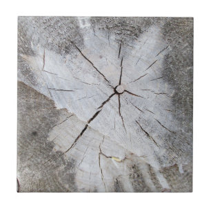 Wood Grain Grey Pine Tree Stump Photo Art 2 Tile