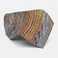 Wood Grain Texture #6