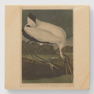 Wood Ibiss (Ibis, Stork): Audubon Birds of America Stone Coaster