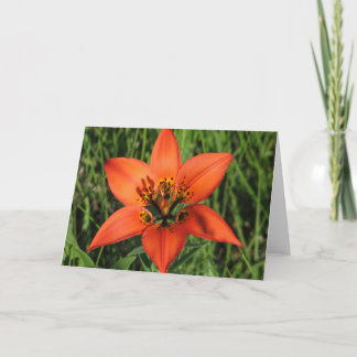 Wood Lily Note Card