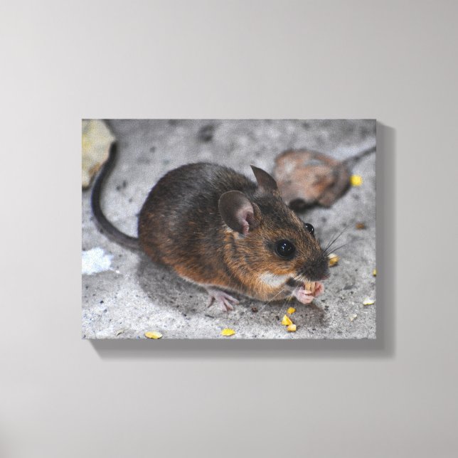 Wood Mouse  Canvas Print (Front)