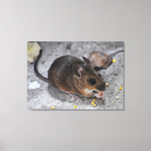 Wood Mouse  Canvas Print