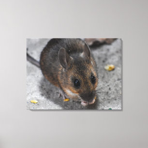 Wood Mouse Canvas Print